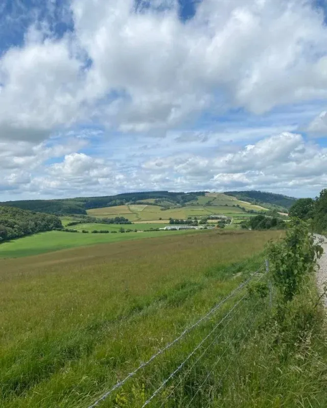 A lovely afternoon spent enjoying amazing scenery in the South Downs whilst having a tour of the incredible @englishwoodlandstimber & munching on some delicious food by @earth_to_oven 😋 Many thanks for having us!